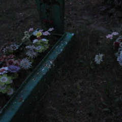 丂ㄥ乇3ㄚ 卄卂 爪0卩03乇