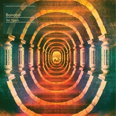 bonobo