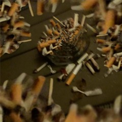 prince of shards - skying