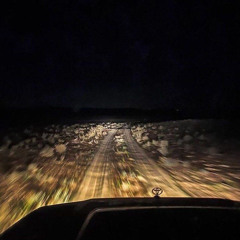 متعب المسفري .