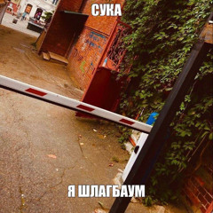 нига204vip + BakuganVK - Я ШЛАГБАУМ