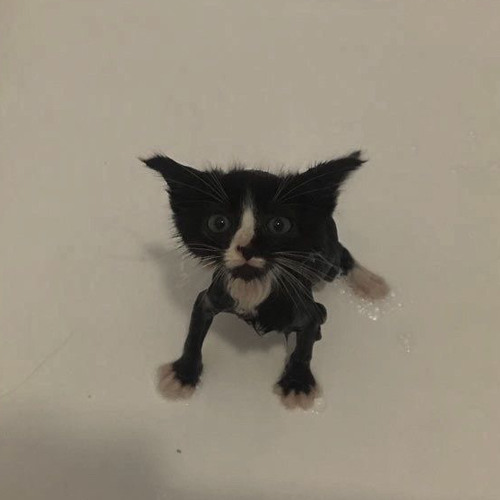 been there done that (datsuzoku demo)