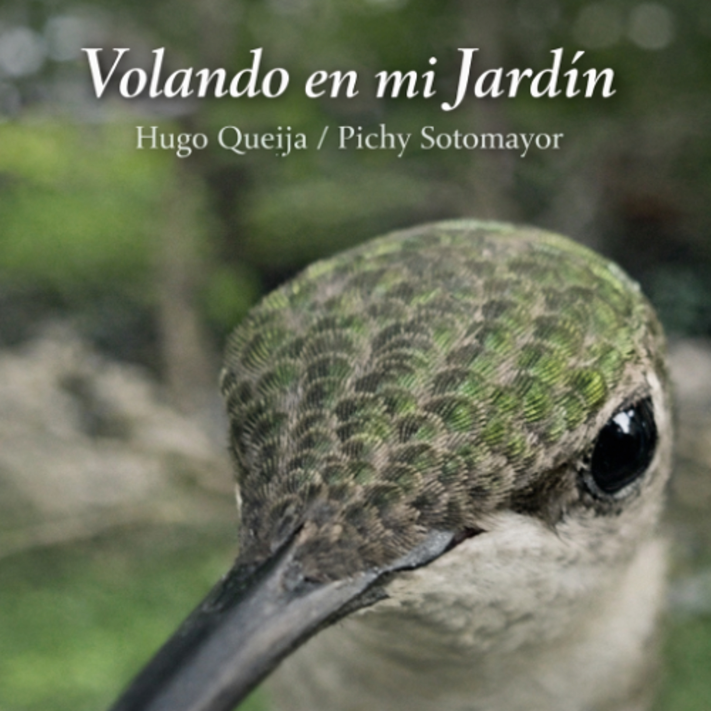 Volando en mi jardin episode artwork