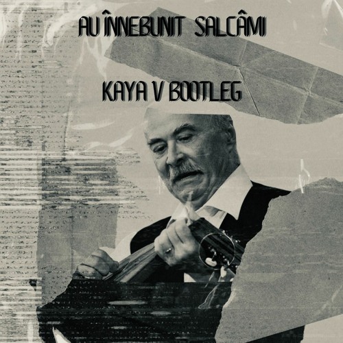 Au Innebunit Salcami Tudor Gheorghe - KAYA V Bootleg (FREE DOWNLOAD)