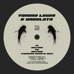 Tommy Lewis x Undulata - Dolphin