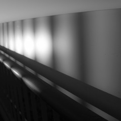 fence