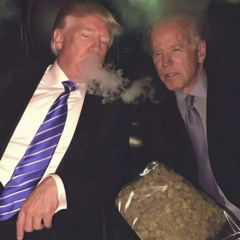 $$$