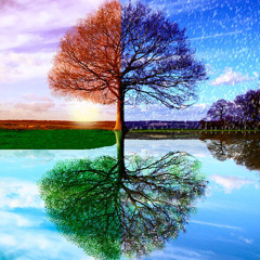 Comment les météorologues établissent les normales saisonnières ?