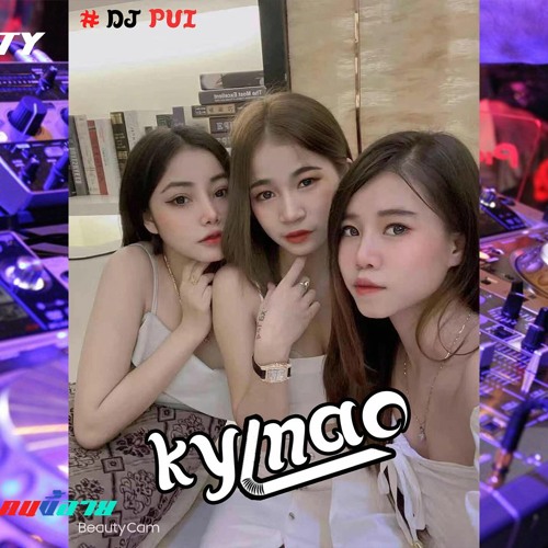🔥Nonstop 2021 💊 vai lerng🔥-  🔥ky mao say party laos🔥 BY 🔱 DJ Pui VlP🔱