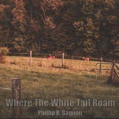 Where The White Tail Roam