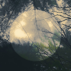 Le point de non retour.