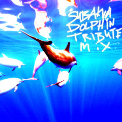 SUBAKVA |Dolphin Tribute Mix|  *To Celebrate World Dolphin Day 2025*
