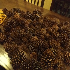 My recording 670 (1).m4a