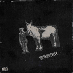 Dyingonmywhitehorse
