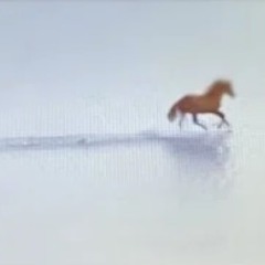 Love On A Real Train