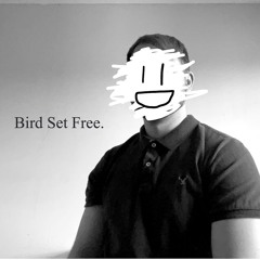 Bird Set Free (Cover)