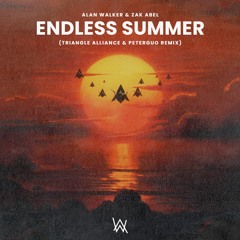 Alan Walker & Zak Abel - Endless Summer (Alvin Mo & PeterGuo Extended Remix)
