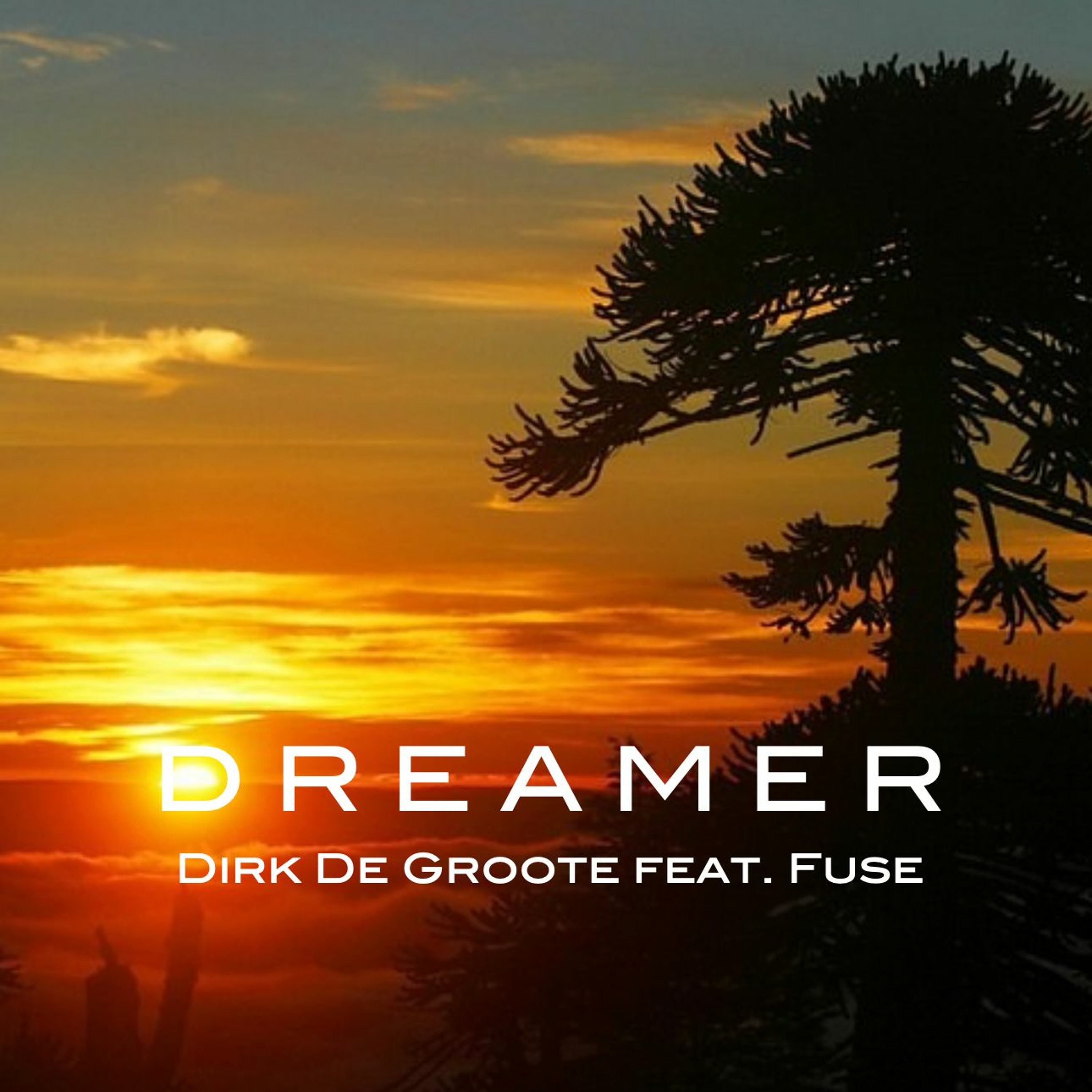 Dirk De Groote