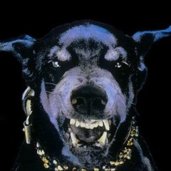 The HEADBANGER - Strike ( SPERMINATOR Faster Remix)