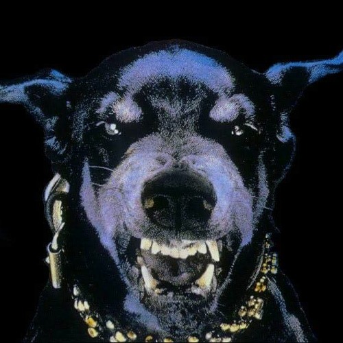 The HEADBANGER - Strike ( SPERMINATOR Faster Remix)