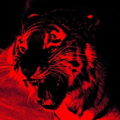 SHAME [prod. surreal] | #EvILLvIRRxVLM