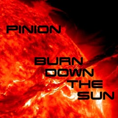 Pinion - Chop