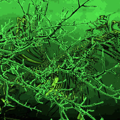 PLATO No. 10967 Dedication