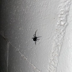 You Gave Up On Us (Prod. Raspo)