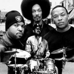 Ice Cube~Ren~Dr Dre~Snoop~ Lion Suit and Jacket.mp3