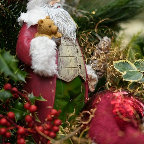 Stella christmas 2025