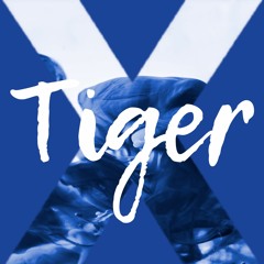 Tiger X. Episode 15. lolCHTO