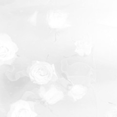the akashic