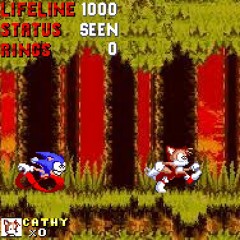 Sonic.exe Ruination - Run for Your Life!