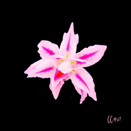 Nice-D & Don Creek - Kizito