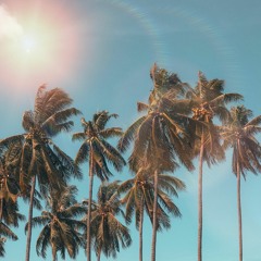 Minimal House and Deep Tech - Part 1