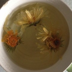 bertaut by nadin [cover]