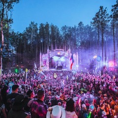 Tinlicker @ The Observatory, Electric Forest 2022