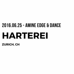 2016.06.25 - Amine Edge & DANCE @ Harterei, Zurich, CH