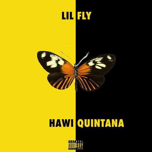 Lil Fly  *VIDEO OUT NOW