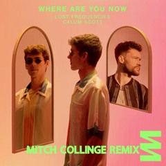Lost Frequencies ft Calum Scott - Where Are You Now (Mitch Collinge Remix)