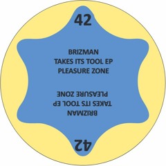 PLZ042 - BRIZMAN - TAKE ITS TOOL EP (PLEASURE ZONE)