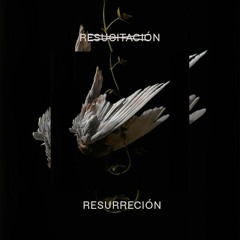 ¿Resucitación o Resurrección?