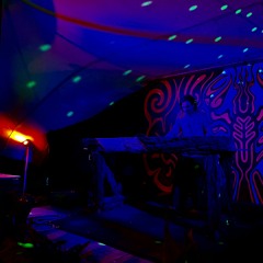 Twisted Frequency Festival 2023/24