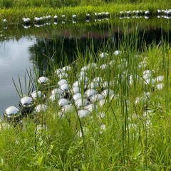 01a4•1.a4;ph.IIIa,Ia,IVe,IIa,IIIa;