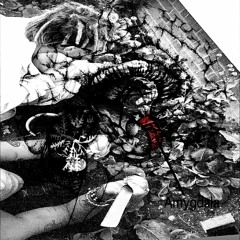 #369 ZIRBELDRÜSE//SCHLAFMOHN /+ TYSI  #MLN111M [PROD OK X HAGEN] #YOLOCORE