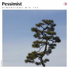 DIM195 - Pessimist