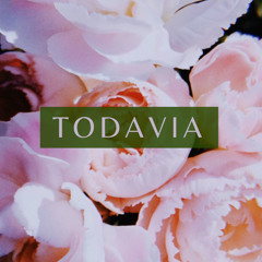 TODAVIA - @lily.blackbird (PROD @jordanelixson)