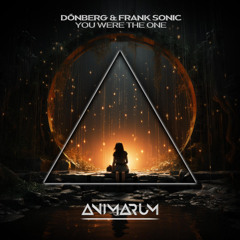 Dönberg, Frank Sonic - You Were the One (Club Mix)