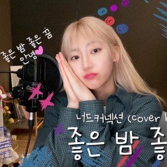 좋은 밤 좋은 꿈 - 경서(Kyoung Seo)ㅣ원곡 너드커넥션