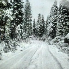 Fathom Flows - Silver & Gold